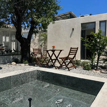 Cesmekoyici No1 Avlulu Tas Ev Holiday home